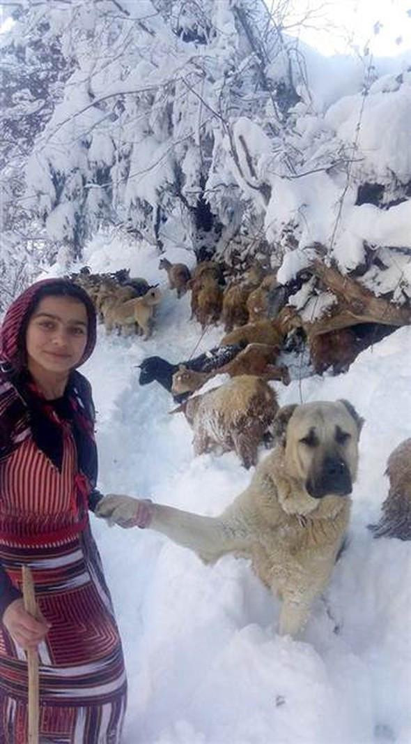 The story behind heart-warming photograph of shepherd girl in Turkey’s Rize
