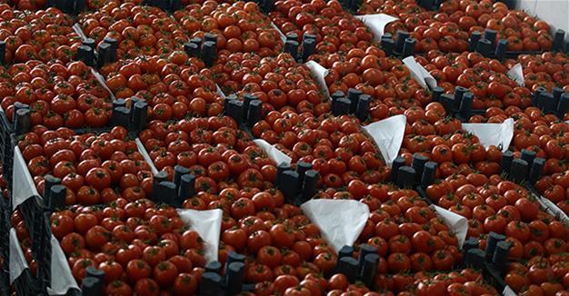 Middlemen in target in move to curb food prices