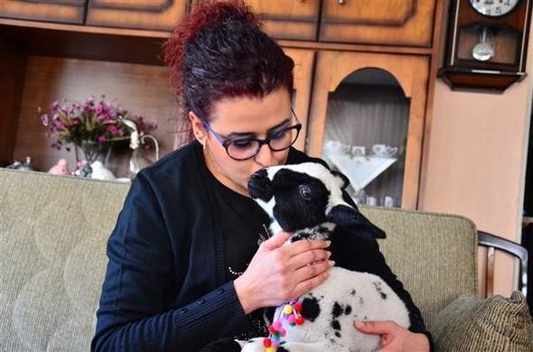 Family in Turkey’s Manisa adopts motherless 15-day-old lamb