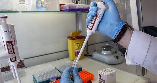 Turkish scientist develops quick DNA profiling kit