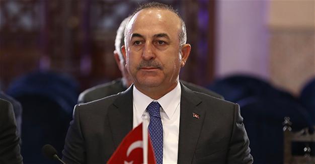 Turkish FM says over 5,500 Turkish citizens arrested and convicted in 147 countries