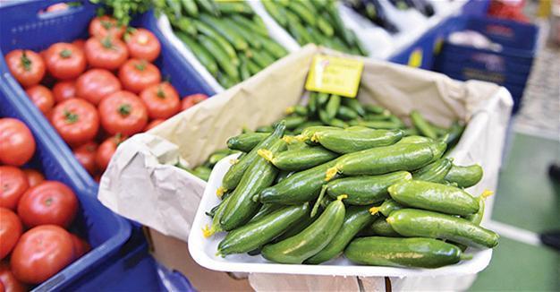Russian agricultural watchdog ‘has no plans to lift restrictions on Turkish produce’