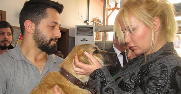 Puppy famed for being rescued from well in Istanbul discharged from hospital after it fell sick