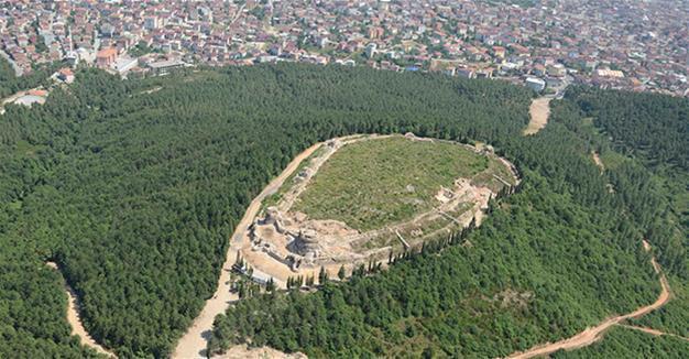 Ministry to build recreational facilities in protected forest area in Istanbul
