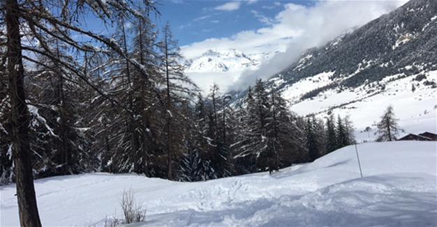 V for Val Cenis and vegan vine leafs