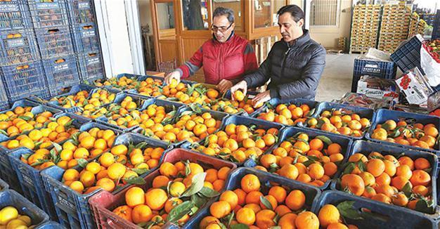 Food prices key in Turkey’s skyrocketing annual inflation: Central Bank report