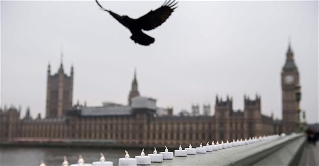 Global terrorism, its cause, prevention