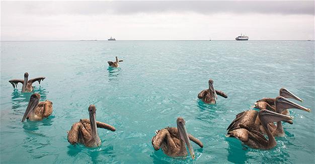 Ethical priorities to help ease climate change