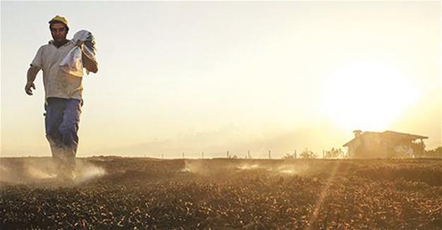European bank’s support for Turkish agriculture hits 1 bln euros
