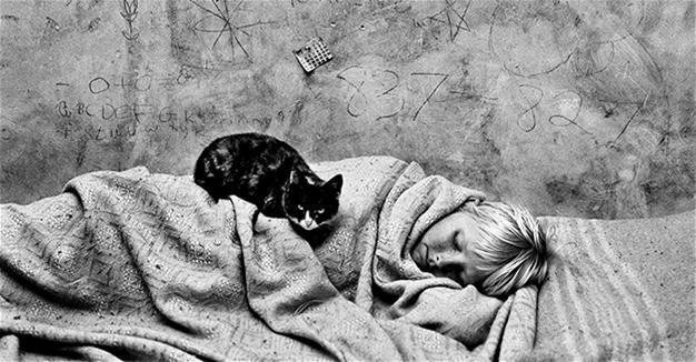 Roger Ballen Retrospective at Istanbul Modern