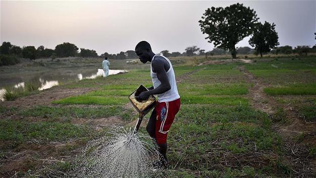 Antalya to host agriculture forum with African minister