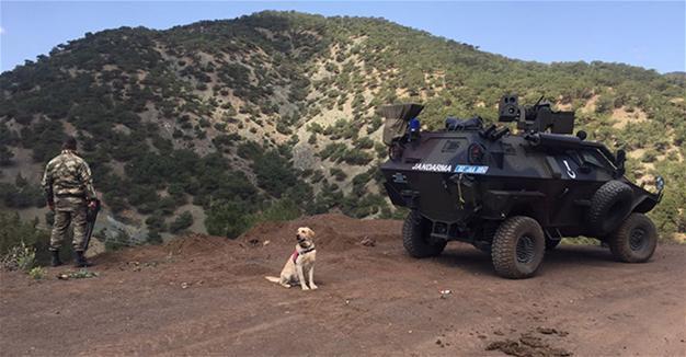 Turkish soldiers apprehend PKK militant responsible for attacks