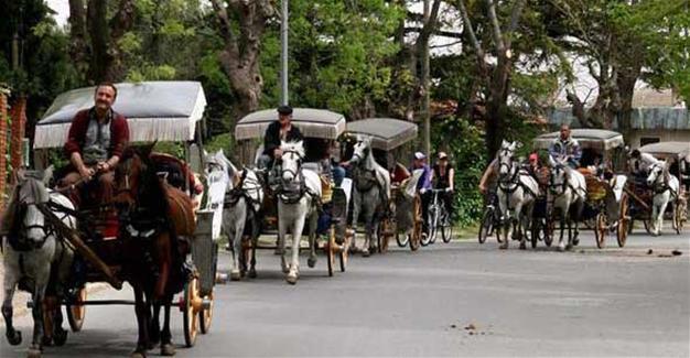 17 people detained in operation against ‘carriage gang’ on Istanbul’s Büyükada