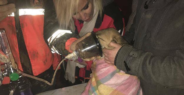 Puppy stuck in well rescued after 10 days in Istanbul