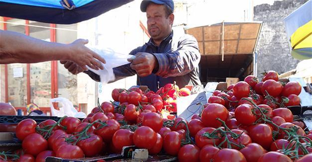 No problem in Turkey’s tomato exports to Iraq: Ministry
