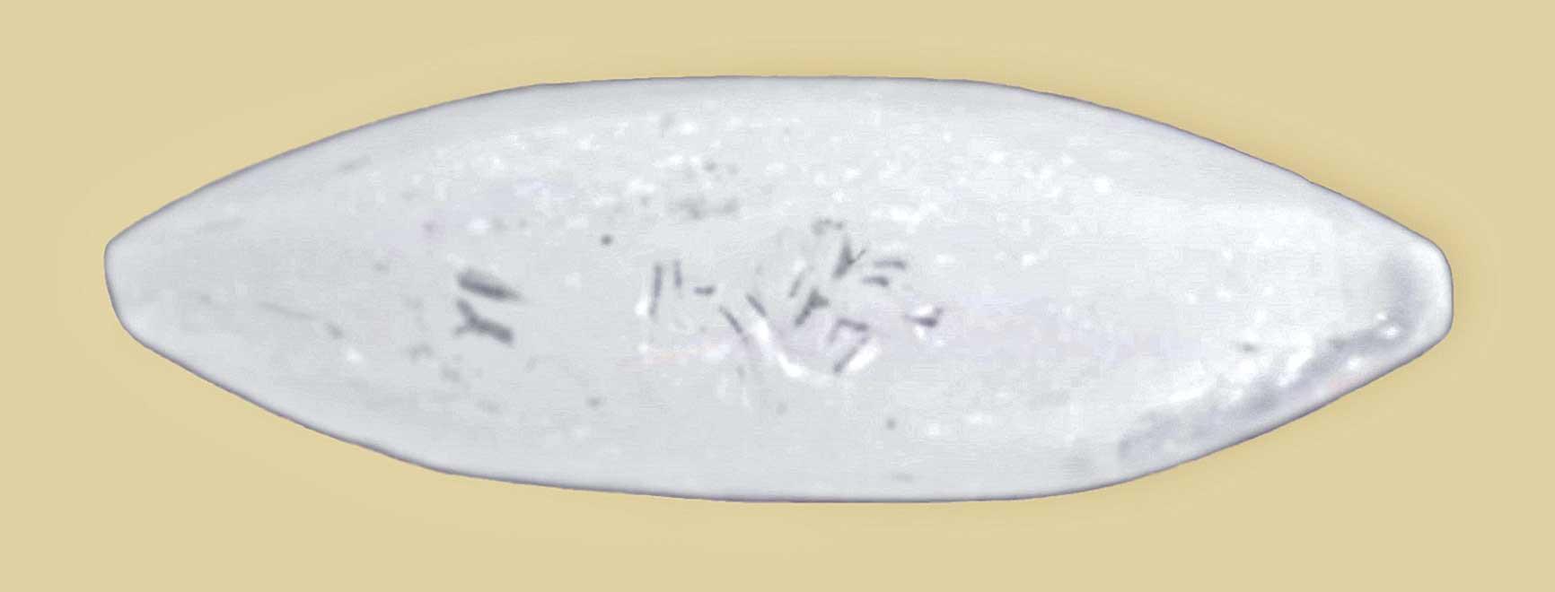 Oldest Anatolian transcript found in Acemhöyük