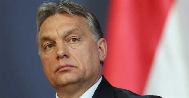 Hungary ‘must pass law on mafia-like NGOs’