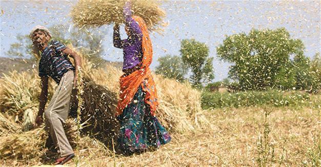 Indian state writes off farm loans to end protests