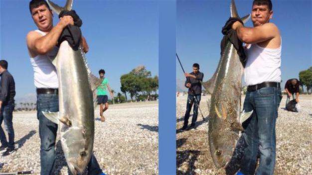Fishermen release 30-kilogram fish into sea to protect nature in Turkey’s Antalya