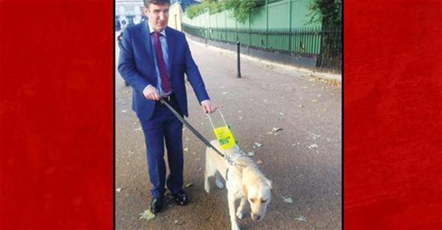 Guide dog of visually impaired advisor to CHP deputy not allowed into Turkish Parliament