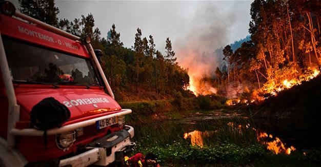 Huge Portugal forest fires kill 62, injure scores
