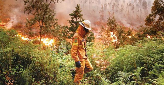 Portugal mourns amid battle against wildfires
