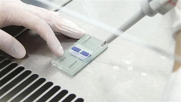 Cuban-developed cancer vaccine tested on 39 cancer patients in Turkey