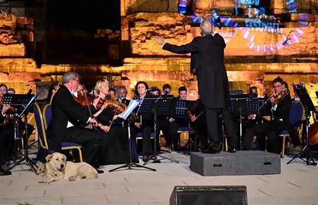 Dog steals hearts at classical concert in Turkeys İzmir