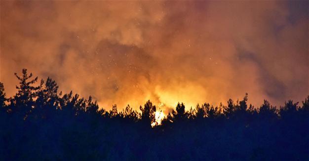 Forest fires continue to engulf Turkey’s western, southern coasts over past three days