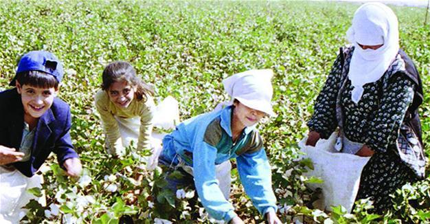 One in three children lives in extreme poverty across Turkey: Research