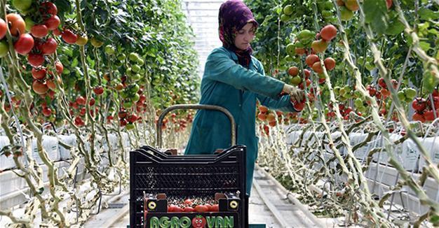 Gov’t offers deadline on severance payment to submit final proposals