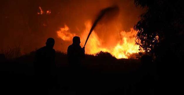 20 hectares of forest lands reduced to ash in Turkish resort Bodrum