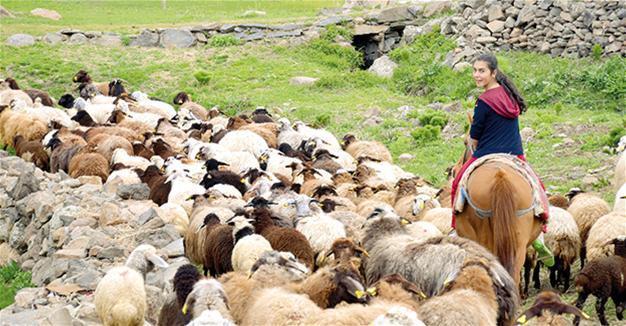 Children from impoverished rural regions succeed in Turkish high school entrance exam again