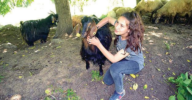 Children from impoverished rural regions succeed in Turkish high school entrance exam again