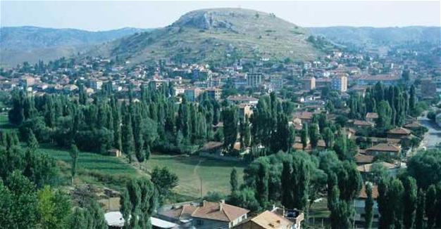 Panic rises after hunting of dogs by ‘mysterious creature’ in village of Turkey’s Bilecik