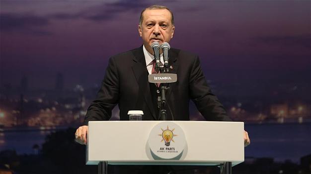 President Erdoğan backs Qatar amid diplomatic row
