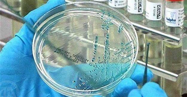 Antimicrobial chemicals pose risk to health: US scientists