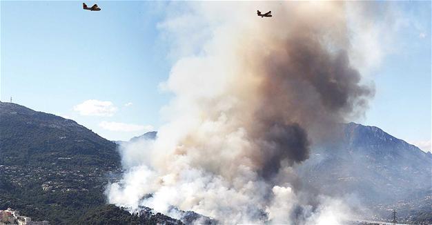 Fires destroy 1,400 hectares of forest in southern France