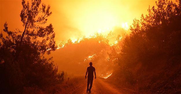 Fire erupts over 250 hectares of forest lands in Turkey’s west