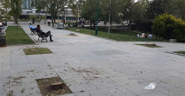 Main opposition deputy shares photos of cut-down trees from Taksim’s symbolic Gezi Park