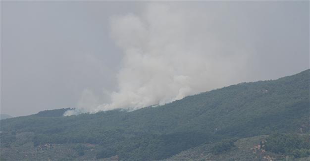 Arson suspected in new forest fires on Mount Ida