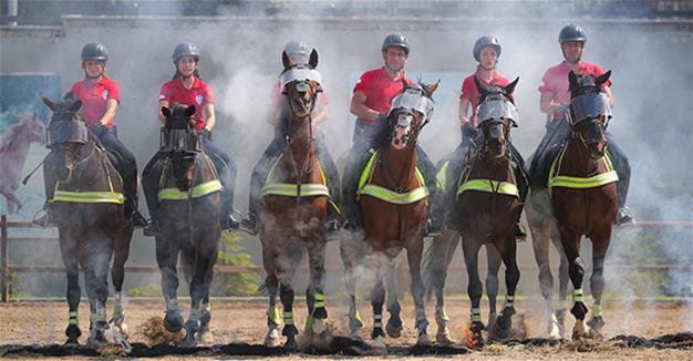 Turkish mounted police once again back in saddle ‘calming’ crowds
