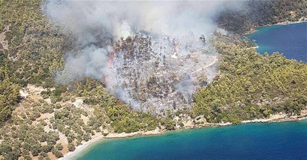 Eight hectares of forest land damaged in fire in Turkey’s Muğla