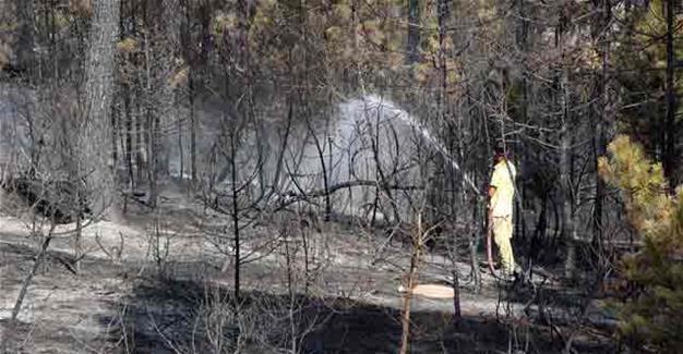 Fire burns 100 hectares of forest in Turkey’s Bolu to ash