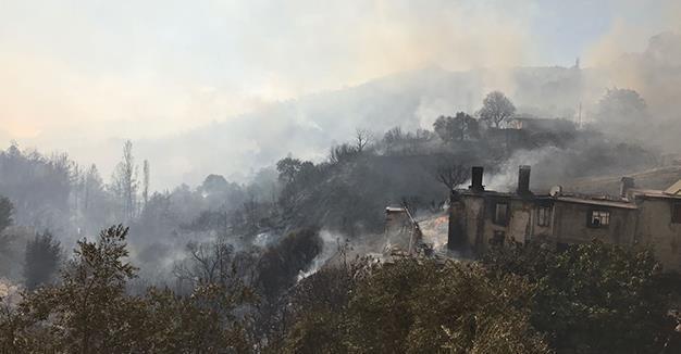 Forest fire breaks out in Turkey’s Muğla, neighborhood evacuated