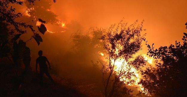 61 houses, 250 hectares of forest reduced to ash in western Turkey