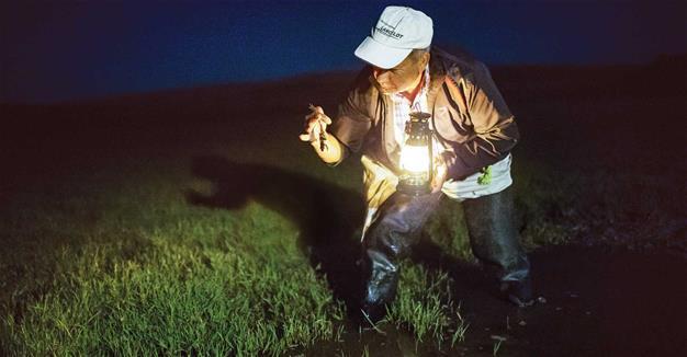 Local man makes living hunting frogs for 15 years in Turkey’s northwest