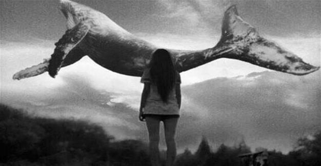Turkish family files criminal complaint on ‘Blue Whale’ online game after son’s death