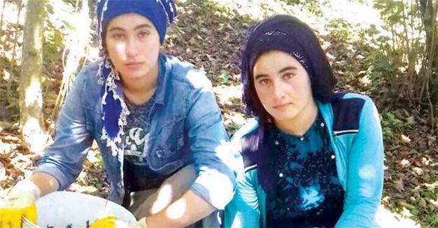 Almost 400,000 seasonal child agricultural laborers in fields across Turkey in 2012: Study