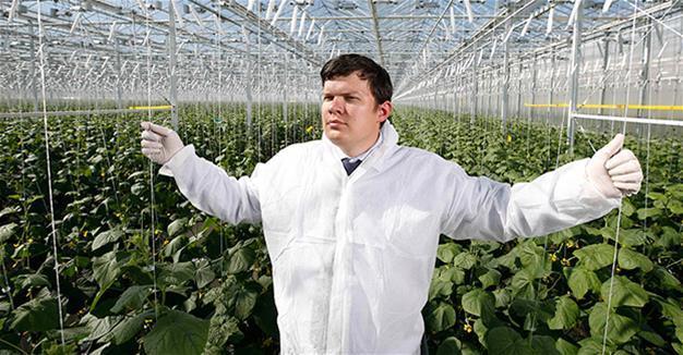 Russian vegetable producer plans growth spurt thanks to import ban
